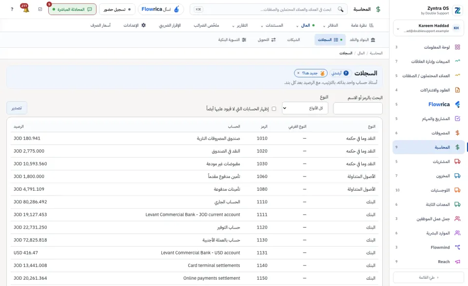 السجلات: الحسابات التي فيها قيود مع أرصدتها